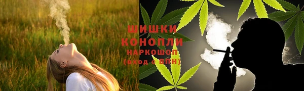стафф Верхний Тагил