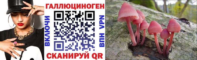 где найти   Энгельс  Псилоцибиновые грибы Magic Shrooms 